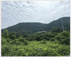  2025Ÿ��274  �Ӿ߰��