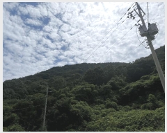  2025Ÿ��274  �Ӿ߰��