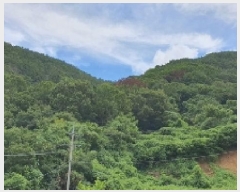  2025Ÿ��274  �Ӿ߰��