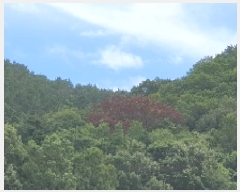  2025Ÿ��274  �Ӿ߰��