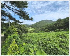  2025Ÿ��279 �泲 â���� ���������� ����� ��� 191-3     ����(��)���