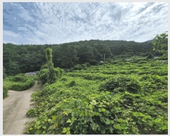  2025Ÿ��279 �泲 â���� ���������� ����� ��� 191-3     ����(��)���