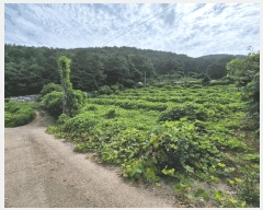  2025Ÿ��279 �泲 â���� ���������� ����� ��� 191-3     ����(��)���