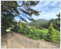  2025Ÿ��279 �泲 â���� ���������� ����� ��� 191-3     ����(��)���