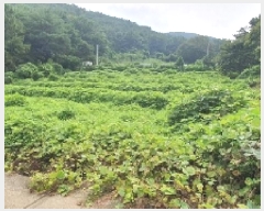  2025Ÿ��279 �泲 â���� ���������� ����� ��� 191-3     ����(��)���