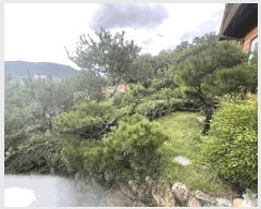  2025Ÿ��296 �泲 �Ծȱ� ���θ� ������ 341-1      ���ð��