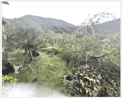  2025Ÿ��296 �泲 �Ծȱ� ���θ� ������ 341-1      ���ð��