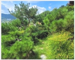  2025Ÿ��296 �泲 �Ծȱ� ���θ� ������ 341-1      ���ð��