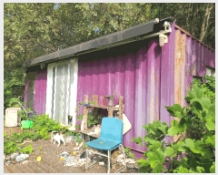  2025Ÿ��300  ����