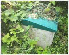  2025Ÿ��300  ����