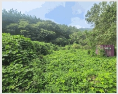  2025Ÿ��300  ����