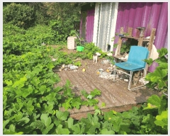  2025Ÿ��300  ����