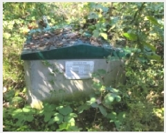  2025Ÿ��300  ����