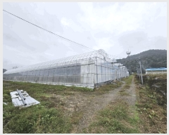  2025Ÿ��304 �泲 �Ծȱ� ���� ��ϸ� 84-12      ����(��)���