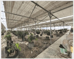  2025Ÿ��304 �泲 �Ծȱ� ���� ��ϸ� 84-12      ����(��)���