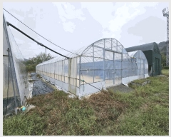  2025Ÿ��304 �泲 �Ծȱ� ���� ��ϸ� 84-12      ����(��)���