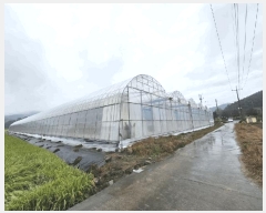  2025Ÿ��304 �泲 �Ծȱ� ���� ��ϸ� 84-12      ����(��)���