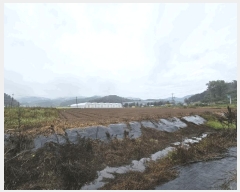  2025Ÿ��304 �泲 �Ծȱ� ���� ��ϸ� 84-12      ����(��)���