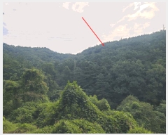  2025Ÿ��309 �泲 â���� ����ȸ���� ������ �� ��24     ����(�Ӿ�)���