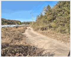  2025Ÿ��337  ���������