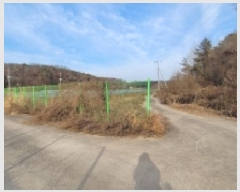  2025Ÿ��337 �泲 �Ծȱ� ������ ��긮 516-3      ����(������)���