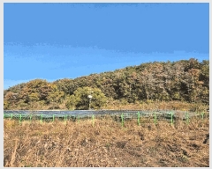  2025Ÿ��337  ���������