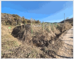  2025Ÿ��337  ���������