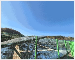  2025Ÿ��337  ���������