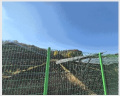  2025Ÿ��337  ���������