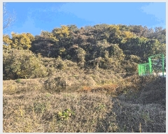  2025Ÿ��337  ���������