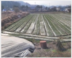  2025Ÿ��347 �泲 �Ծȱ� ĥ���� �̷渮 1038-12      ����(��1)���