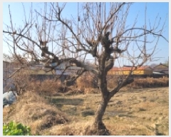  2025Ÿ��347 �泲 �Ծȱ� ĥ���� �̷渮 1038-12      ����(��1)���