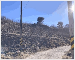  2025Ÿ��381 �泲 �Ծȱ� ĥ�ϸ� ���̸� 780      ����(��1)���