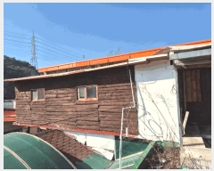  2025Ÿ20370 泲 Ծȱ ĥ  132-2      ٸü,󰡰