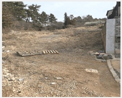  2025Ÿ20425 泲 â   帮 44-13     (Ӿ)