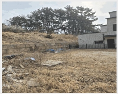  2025Ÿ20425 泲 â   帮 44-13     (Ӿ)