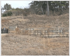  2025Ÿ20425 泲 â   帮 44-13     (Ӿ)