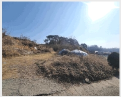  2025Ÿ20435 泲 â   ű⸮ 109     ()