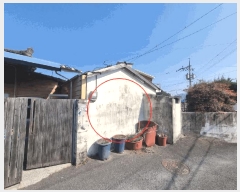  2025Ÿ20435 泲 â   ű⸮ 252     ()