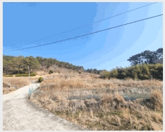  2025Ÿ20435 泲 â   ű⸮ 252     ()