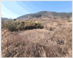  2025Ÿ20435 泲 â   ű⸮ 252     ()