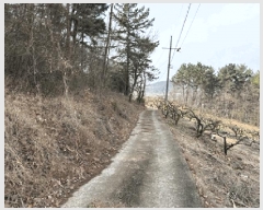  2025Ÿ��20445  �Ӿ߰��