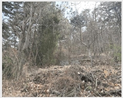  2025Ÿ��20445  �Ӿ߰��