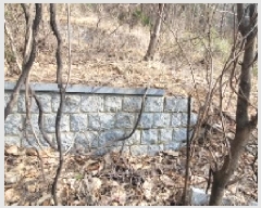  2025Ÿ��20445  �Ӿ߰��