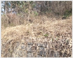  2025Ÿ��20445  �Ӿ߰��