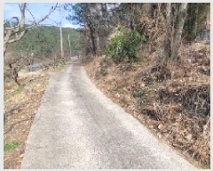  2025Ÿ��20445  �Ӿ߰��