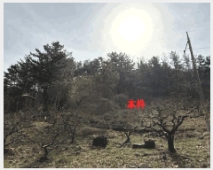  2025Ÿ��20445  �Ӿ߰��