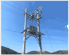  2025Ÿ20480 泲 Ծȱ  ϸ 1542-1      