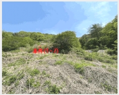  2025Ÿ��20493  ���ð��