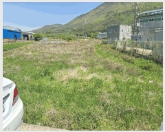  2025Ÿ��20548  ����